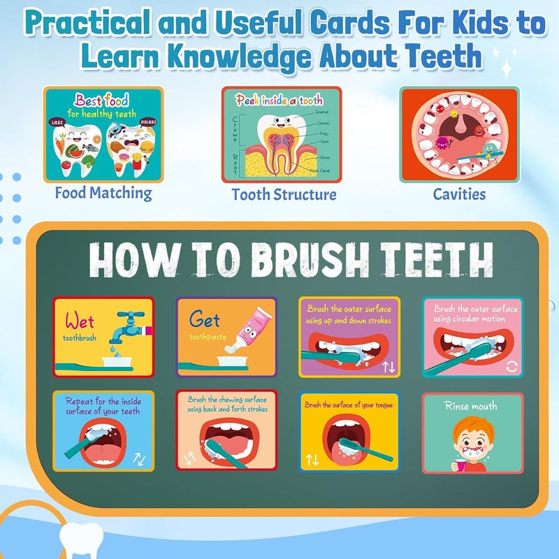 Skylety مجموعة ألعاب طبيب الأسنان 2 مجموعة نموذج أسنان مع فرشاة أسنان بطاقات تعليمية حجم قياسي نموذج تقويم الأسنان المزيف (أسلوب لطيف) - Image 3